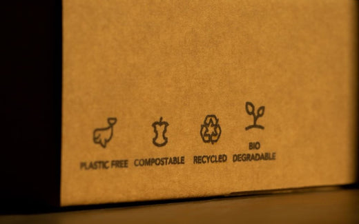 Waste Hierarchy and Single-Use Plastics Ban