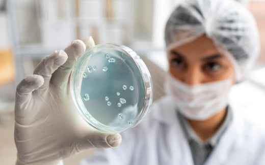 Scientific Essentials: A Reliable Source for High-Quality Petri Dishes