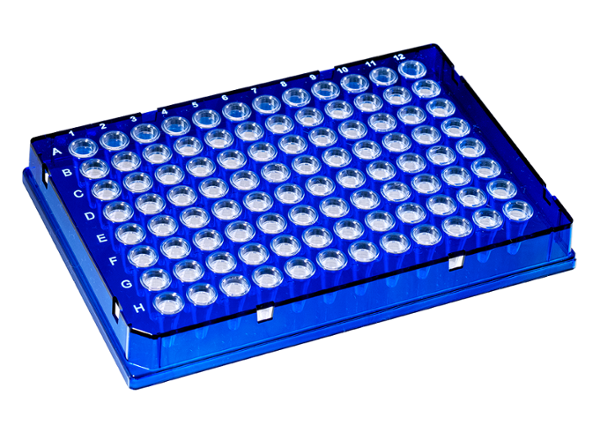 0.1 mL DuraFrame™ Rigid PCR Plate, Blue