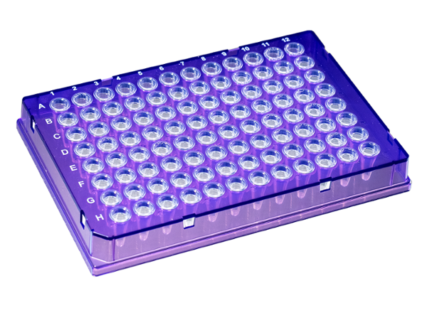 0.1 mL DuraFrame™ Rigid PCR Plate, Violet