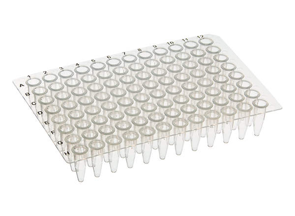 SCIENTIFIC SPECIALTIES 96 WELL FLAT TOP PCR PLATE