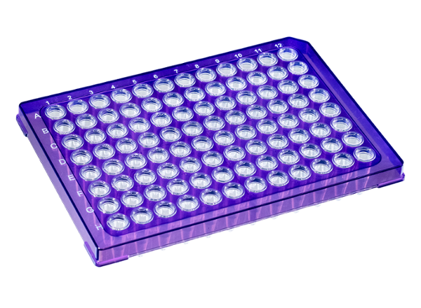 0.2 mL DuraFrame™ Rigid PCR Plate, Violet
