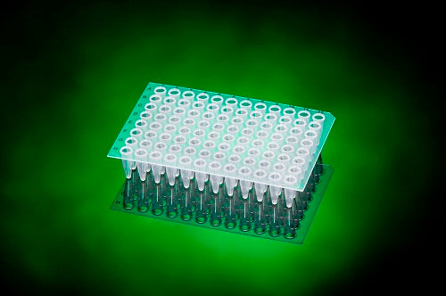 SCIENTIFIC SPECIALTIES 96 WELL FLAT TOP PCR PLATE