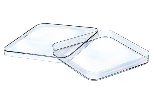 Greiner Petri Dish Square 120mm X 120mm