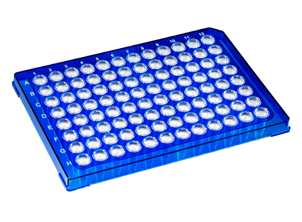 0.2 mL DuraFrame™ Rigid PCR Plate, Blue