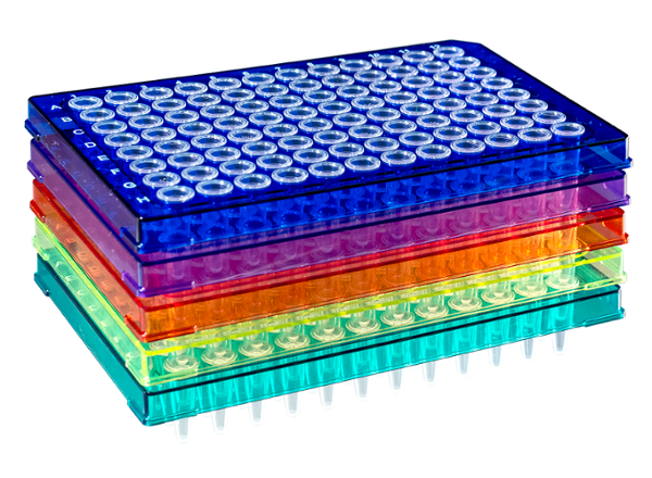 0.2 mL DuraFrame™ Rigid PCR Plate, Assorted