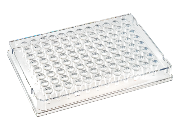 0.1 mL DuraFrame™ Rigid PCR Plate, Clear