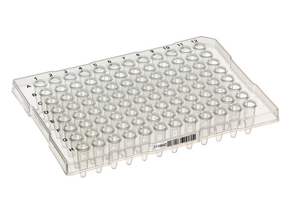 Scientific Specialties Pcr Plate Megabase 96 Well